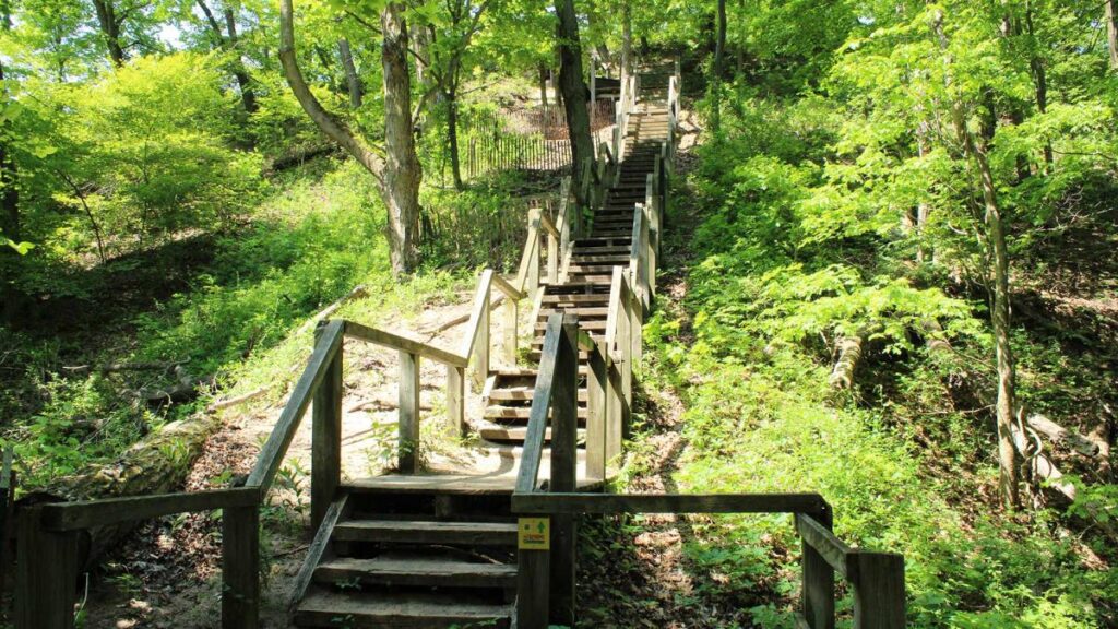 Wooden staircase climbing through the dunes along the 3 Dune Challenge trail