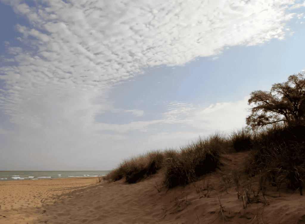 Sand dunes and Lake Michigan shoreline at Indiana Dunes National Park
